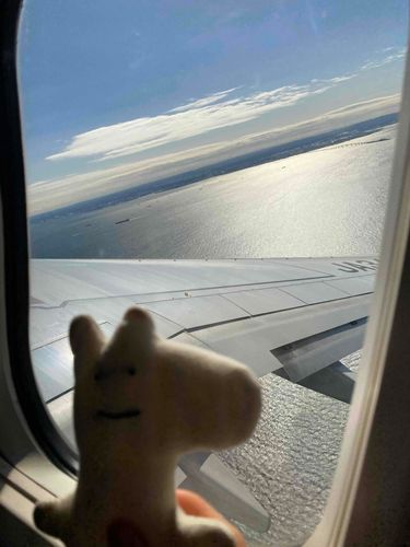 ✈️キャー