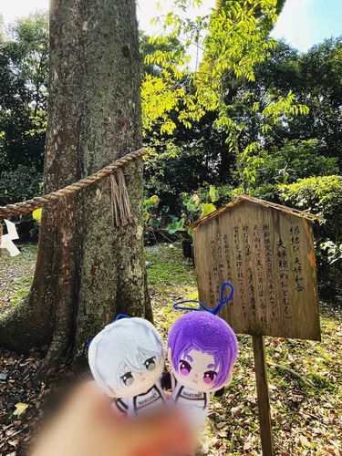 ポスト