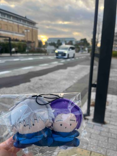 この前届きました