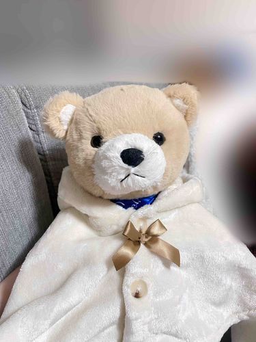 おはよう〜-  ̫ -

最近、寒すぎるからお洋服を着たよ՞ ̳o̴̶̷̤  ̫ o̴̶̷̤ ̳՞
似合ってるかな〜？？♡