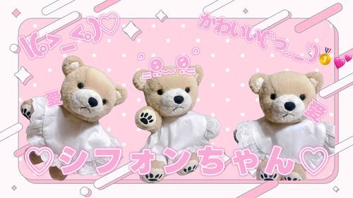 愛されシフォンなのです👶🏻💞