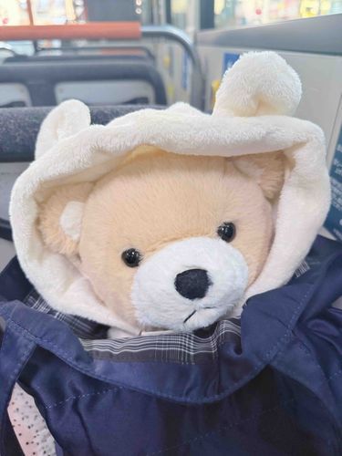 シフォンちゃん、お外に出るの巻👶🏻⭐️🤍