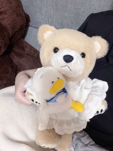 シフォンちゃんのぬいぐるみ買ってもらった🐣🤍