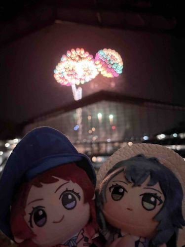 旅行の思い出⑦
エスコンの花火、きれいだね
