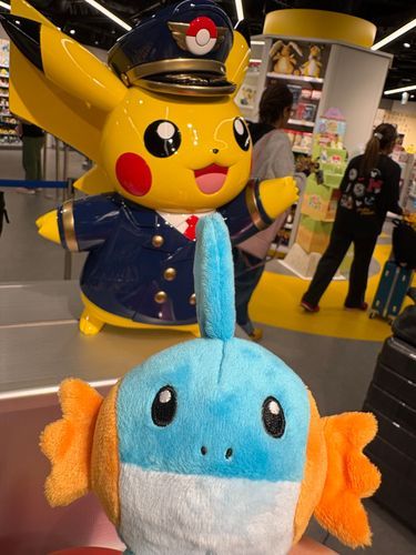 お出迎えゴロちゃん
