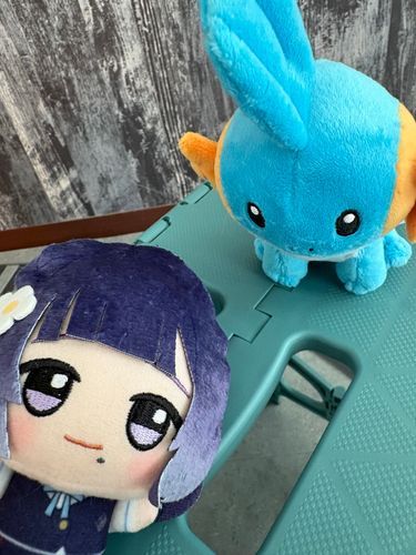 ﾏﾘﾁｬﾝはまだ来ていないのですね…