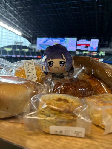 ﾏｧ…これだけあればﾏﾘﾁｬﾝも喜んでくれますね