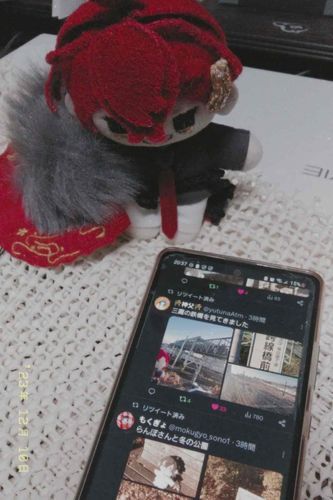 664日目　よそのアルケミストも助手と出かけているみたい