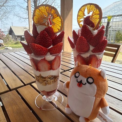 🍓✨