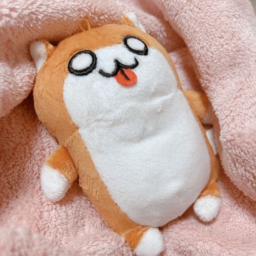 お風呂あがり🛀