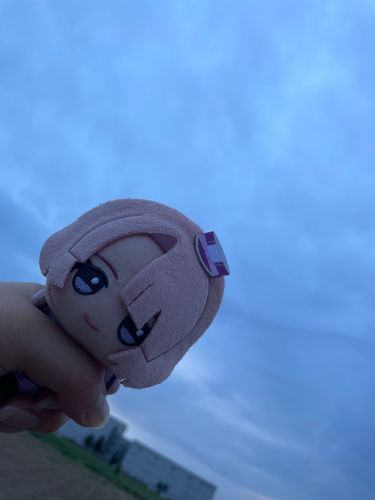 まおぬ、曇りだぞ。