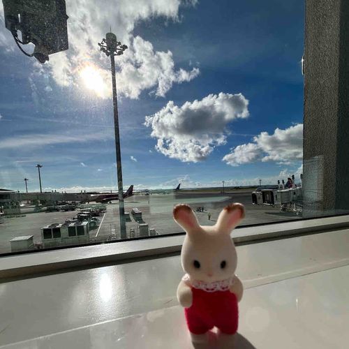 たくさん飛行機あって楽しいねえ赤ちゃん