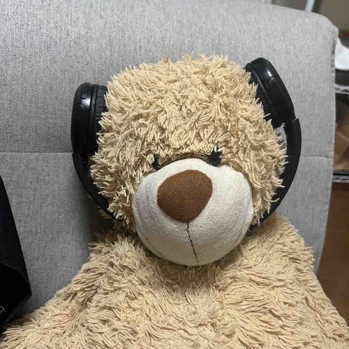 くまの、それは正解、、？