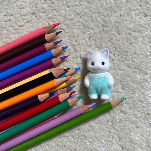 有り得ないくらいの数の色鉛筆に削ったばかりの尖った先端突きつけられてて焦ってる
にげて、