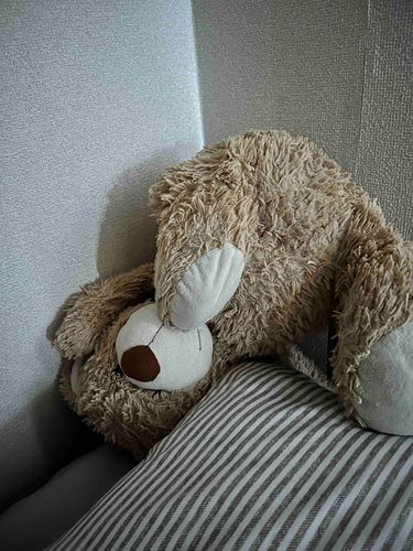 朝起きたらひっくり返ってたくまの