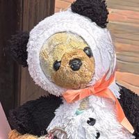 ちゃうちゃん