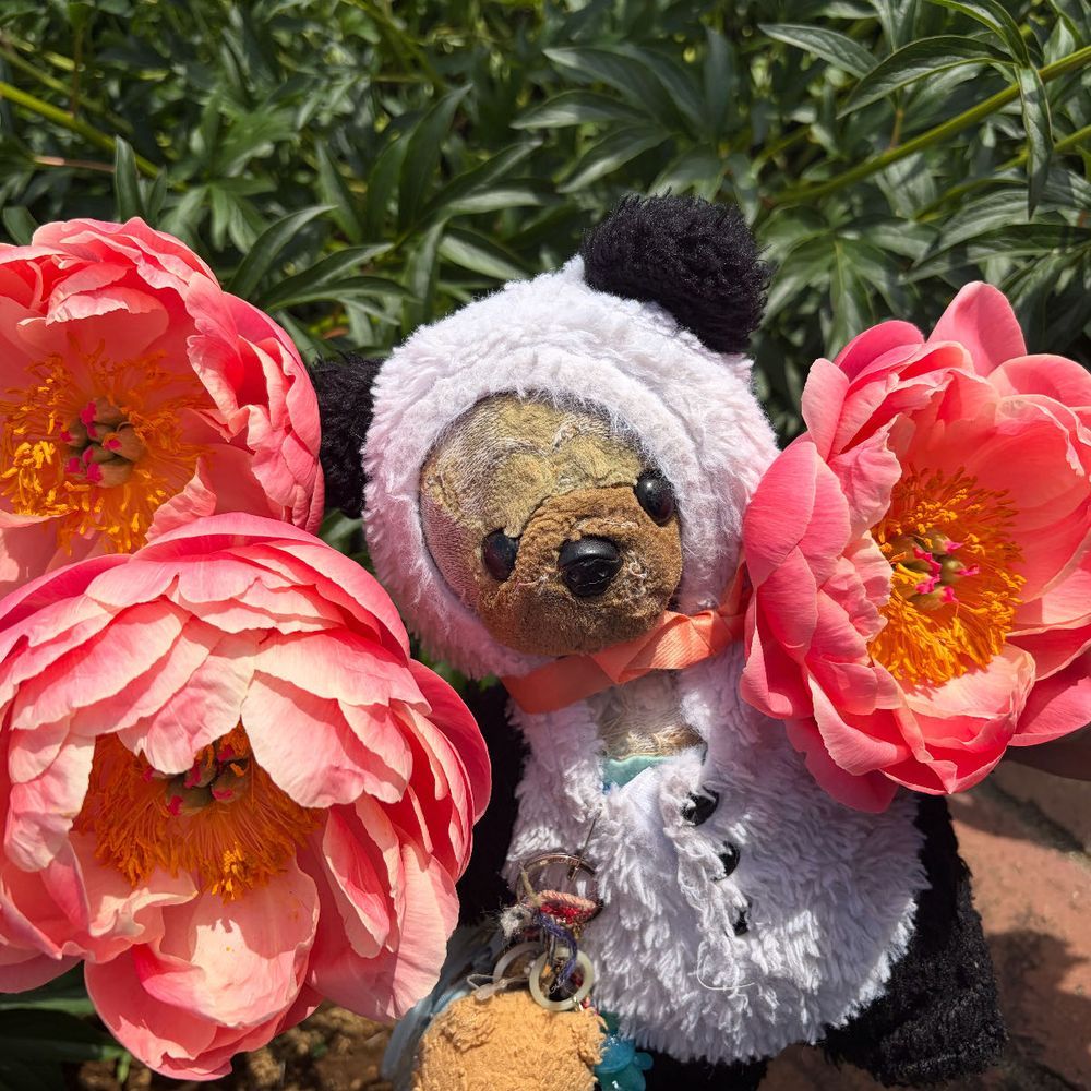 友達のたんたんとみーちゃんと一緒にお花を見に行ったよ🌸
シャクヤクが綺麗だった〜🎵
