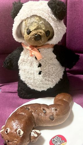 みんな暑い中頑張ってるね〜
明日は土用の丑の日☀️うなぎパンだよ🍞🥐
