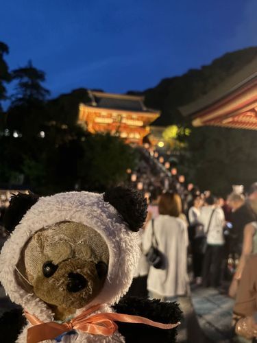 八幡さまのぼんぼり祭りに行ったよ〜
有名人のぼんぼりが沢山あったよ🎵
