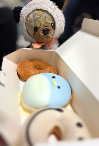 みんな久しぶり〜🍩
今日はドーナツ買ってきてもらったよ
ペンギン🐧は限定なんだって〜