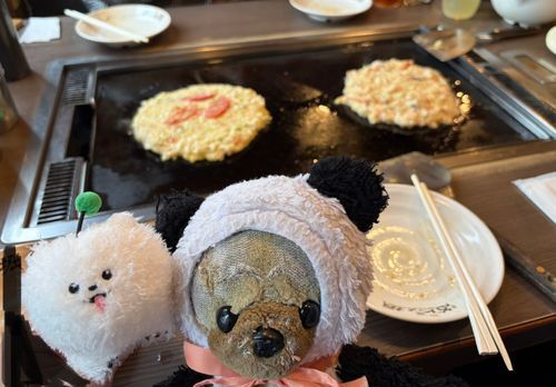 新しいお友達といっしょにお好み焼き食べたよ♪
お好み焼き、すごく気に入ってくれたみたい🌟🍴

