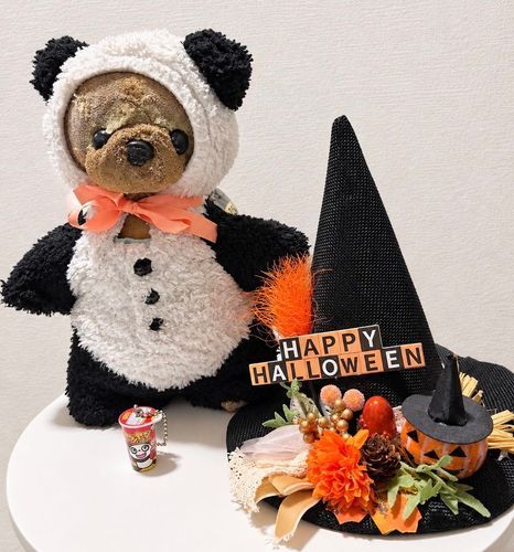 みんな〜ハッピーハロウィン🎃
ちゃうが1番好きなお菓子はヤンヤンつけボー🍫