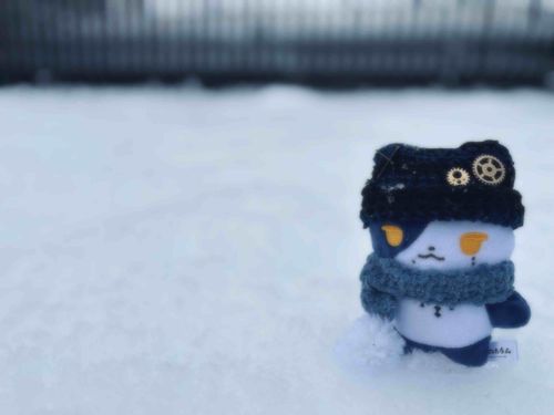 ゆき❄️