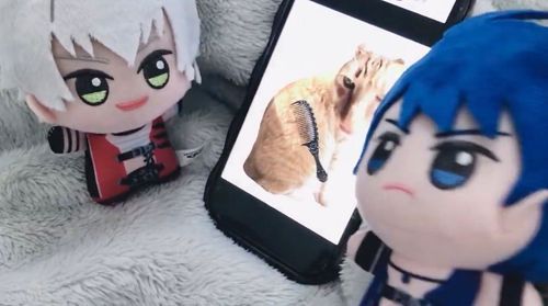 猫とかすゲームしてる