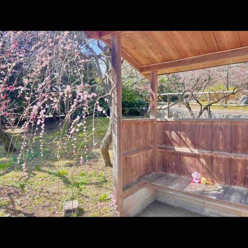 ちょっと休憩もして…🍵