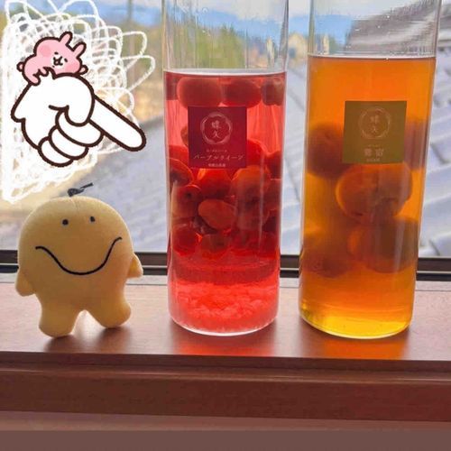 梅酒づくり体験もしてきたよ！
金平糖いれた梅酒可愛かった🌟
熟成1日目でだいぶ溶けてきたね🥃