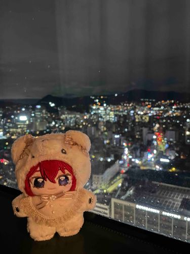 とんでむの やけい うつくしですね
ねむくなて きまちたね
おねえたま おげんきでしょうか…
