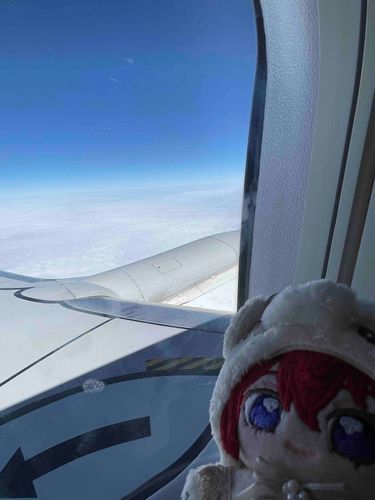 ひこうきで にほんに かえります！くもの おふとん きもちよさそです！