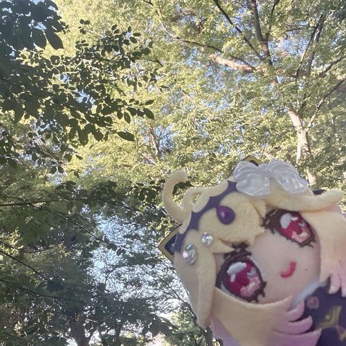 森〜🌳🌳🌳