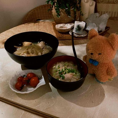 今日は、おかあさんの手作りサムゲタンと、お鍋だよ　あったかくておいしいね、たとん　食べたらおふろにはいろうね。