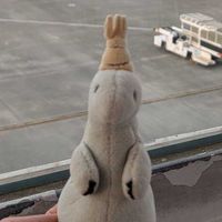 キョウリュウ・ジャパン