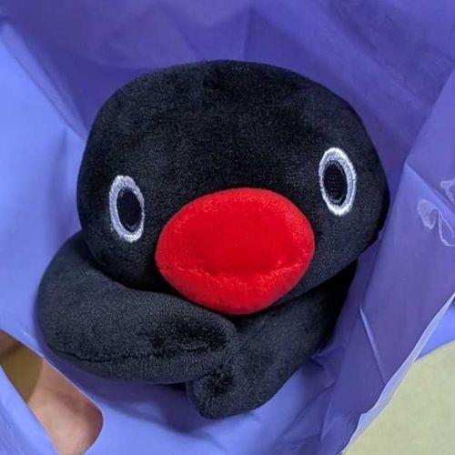 ピングーくじで、さいごの 一ぴき だった ぼく。
ひとりで 待ってたんだ。
​そしたら、「それがいいです！」って
ぼくを 見つけて つれて帰ってくれたの！