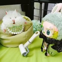 さとうのおうち🌱𓂃 𓈒𓏸