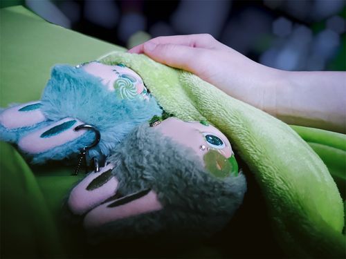 毎日一緒に寝る🛌