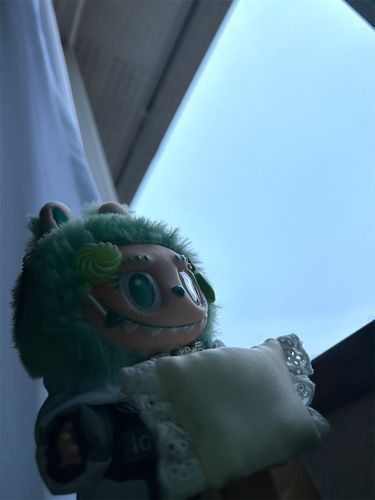 おはよう！早起きは三文の徳🕊‪