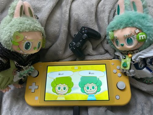 発売が待ち遠しい🎮