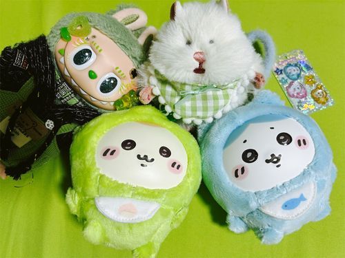 数ヶ月悩み抜いてお迎えしてしまいました…🌰🐈言葉にならない可愛さ…