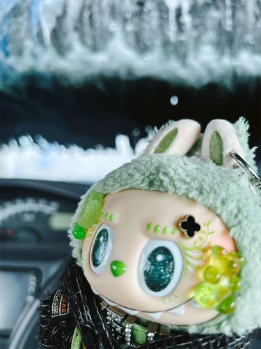 初めての洗車✨🚘🧽🪣