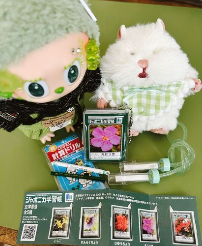 ガチャガチャ戦利品、ジャポニカ学習帳絵日記📖📚小学生の夏休みセット？🌞🌴🌺✨