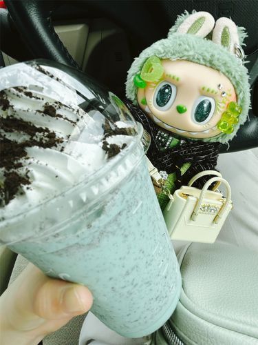 お出かけ🚗チョコミント美味でした🍫🌿
