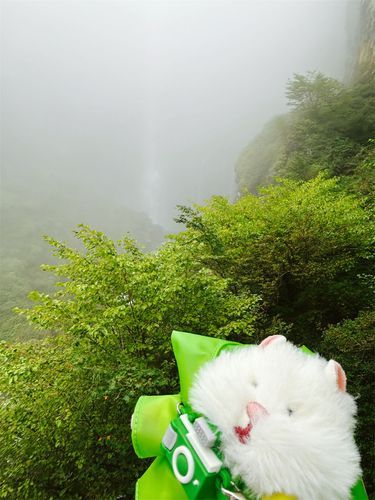 お出かけ！滝!!…が見えない💦音は迫力ありました