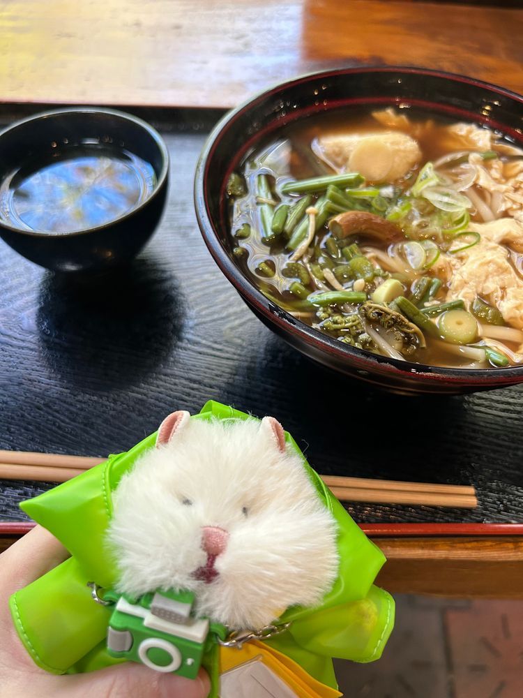 竜頭の滝は丁度晴れてとてもいい眺めでした。初めて食べたゆばうどんも美味しかった！