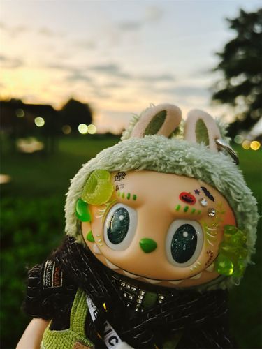 朝の散歩行ってきました🚶‍♀️少し肌寒かったけどいい気分です🌱‬‪