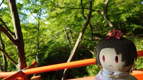 京都の北野天満宮（╹¯╹）

梅も紅葉もいいけれど、青もみじだって清々しい