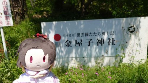 島根の金屋子神社（╹¯╹）

これからも刀剣文化がながくながく愛されますように