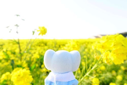 きれいだなあ